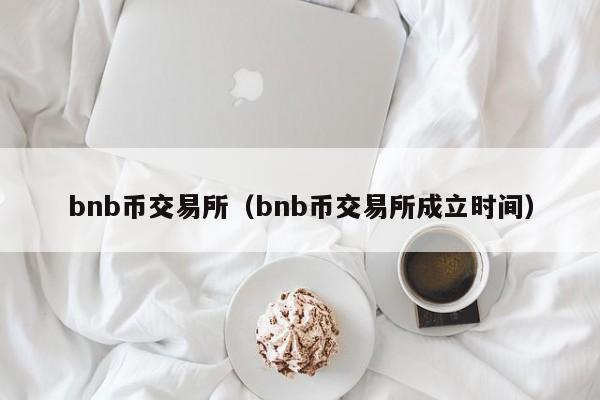 bnb币交易所(bnb币交易所成立时间)